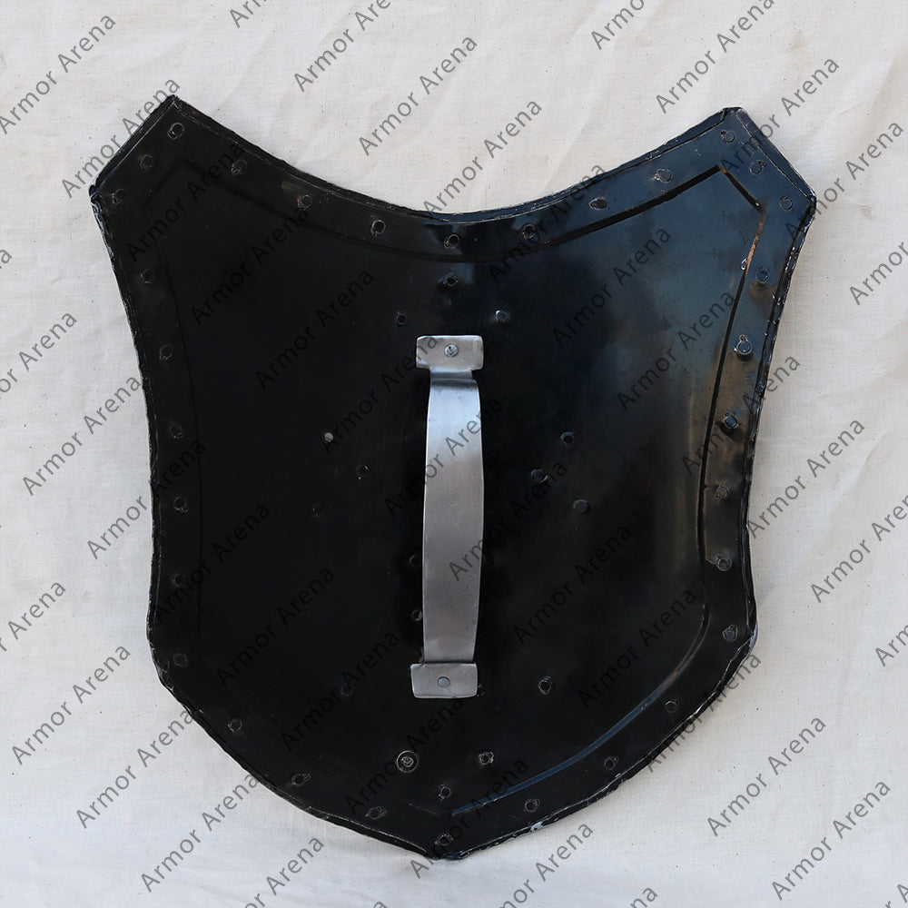 Fleur-de-lis Shield